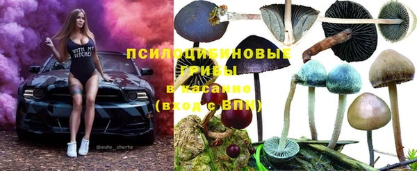 гашишное масло Аркадак