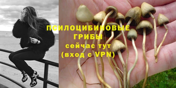 mdpv Арсеньев