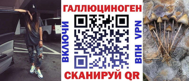 купить закладку  Байкальск  Псилоцибиновые грибы мицелий 